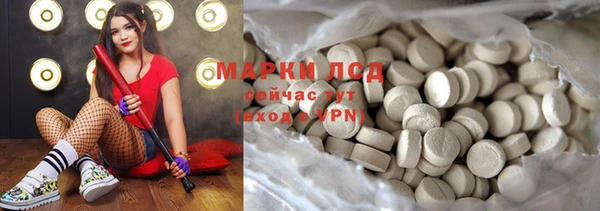 прущие грибы Волосово