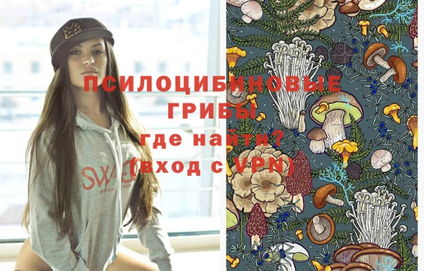 ECSTASY Волоколамск