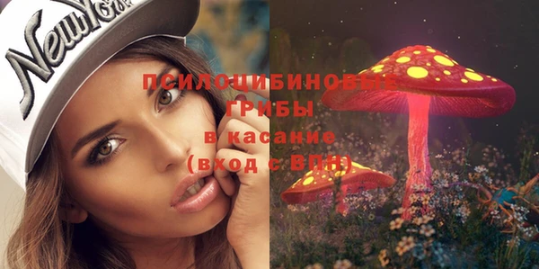 синтетический гашиш Бородино