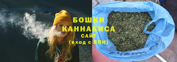 ГАЛЛЮЦИНОГЕННЫЕ ГРИБЫ Верея
