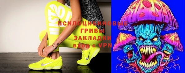 ГАЛЛЮЦИНОГЕННЫЕ ГРИБЫ Верея