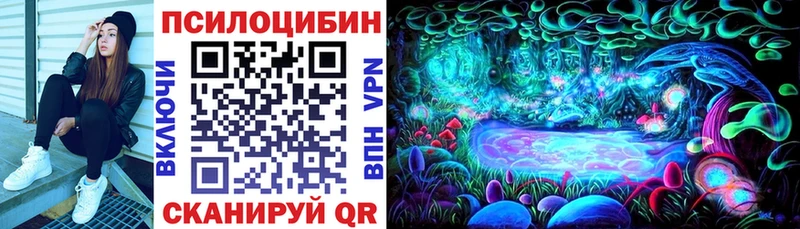 Псилоцибиновые грибы GOLDEN TEACHER  купить   Каменногорск 